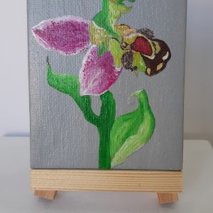 Bee Orchid Painting